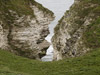 Bempton Cliffs and Sanctuary